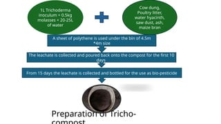 Trichoderma Compost Setup compost, vermicompost and tricho compost on wheat project progress.pptx