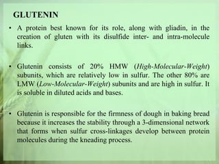 GLUTENIN
• A protein best known for its role, along with gliadin, in the
creation of gluten with its disulfide inter- and intra-molecule
links.
• Glutenin consists of 20% HMW (High-Molecular-Weight)
subunits, which are relatively low in sulfur. The other 80% are
LMW (Low-Molecular-Weight) subunits and are high in sulfur. It
is soluble in diluted acids and bases.
• Glutenin is responsible for the firmness of dough in baking bread
because it increases the stability through a 3-dimensional network
that forms when sulfur cross-linkages develop between protein
molecules during the kneading process.
 