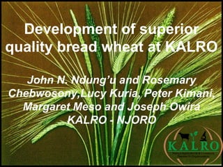Development of superior
quality bread wheat at KALRO
John N. Ndung’u and Rosemary
Chebwosony,Lucy Kuria, Peter Kimani,
Margaret Meso and Joseph Owira
KALRO - NJORO
 
