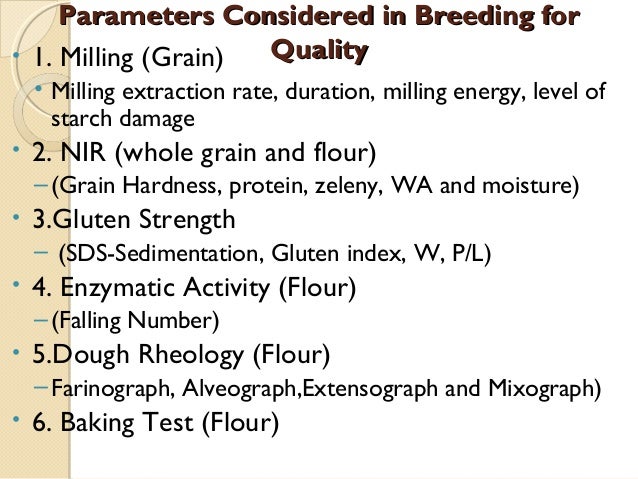Wheat Quality Improvement In Kenya Final