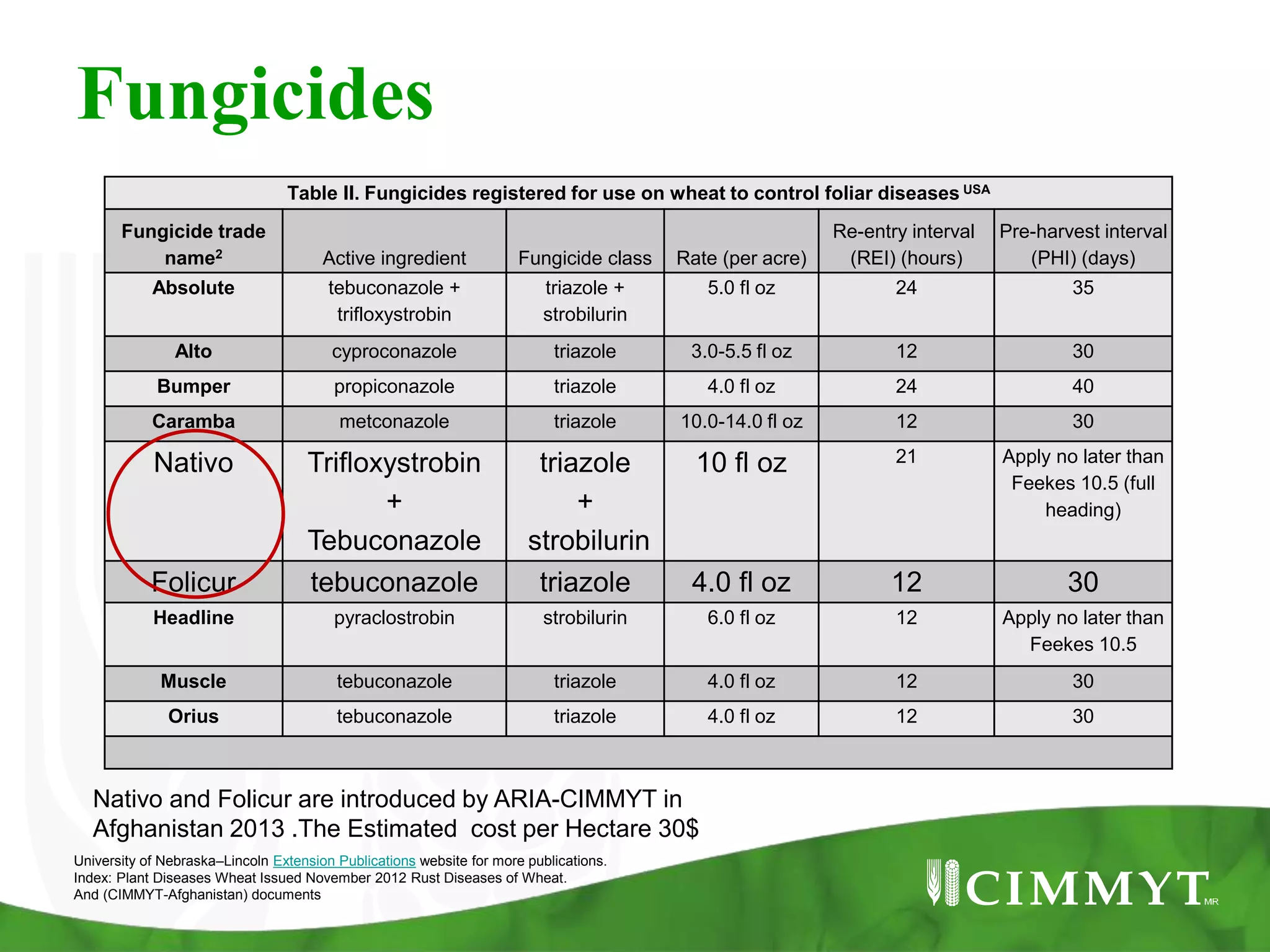 Fungicides
Table II. Fungicides registered for use on wheat to control foliar diseases USA
Fungicide trade
name2 Active ingredient Fungicide class Rate (per acre)
Re-entry interval
(REI) (hours)
Pre-harvest interval
(PHI) (days)
Absolute tebuconazole +
trifloxystrobin
triazole +
strobilurin
5.0 fl oz 24 35
Alto cyproconazole triazole 3.0-5.5 fl oz 12 30
Bumper propiconazole triazole 4.0 fl oz 24 40
Caramba metconazole triazole 10.0-14.0 fl oz 12 30
Nativo Trifloxystrobin
+
Tebuconazole
triazole
+
strobilurin
10 fl oz 21 Apply no later than
Feekes 10.5 (full
heading)
Folicur tebuconazole triazole 4.0 fl oz 12 30
Headline pyraclostrobin strobilurin 6.0 fl oz 12 Apply no later than
Feekes 10.5
Muscle tebuconazole triazole 4.0 fl oz 12 30
Orius tebuconazole triazole 4.0 fl oz 12 30
University of Nebraska–Lincoln Extension Publications website for more publications.
Index: Plant Diseases Wheat Issued November 2012 Rust Diseases of Wheat.
And (CIMMYT-Afghanistan) documents
Nativo and Folicur are introduced by ARIA-CIMMYT in
Afghanistan 2013 .The Estimated cost per Hectare 30$
 