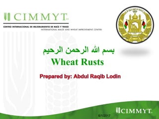 ‫الرحیم‬ ‫الرحمن‬ ‫هللا‬ ‫بسم‬
Wheat Rusts
6/1/2017
 