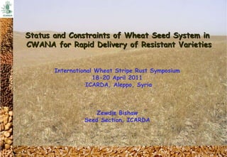 Status and Constraints of Wheat Seed System in CWANA for Rapid Delivery of Resistant Varieties International Wheat Stripe Rust Symposium 18-20 April 2011 ICARDA, Aleppo, Syria Zewdie Bishaw Seed Section, ICARDA 