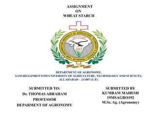ASSIGNMENT
ON
WHEAT STARCH
DEPARTMENT OFAGRONOMY,
SAM HIGGINBOTTOM UNIVERSITY OFAGRICULTURE, TECHNOLOGY AND SCIENCES,
ALLAHABAD – 211007 (U.P.)
SUBMITTED BY
KUMBAM MAHESH
19MSAGRO192
M.Sc. Ag. (Agronomy)
SUBMITTED TO:
Dr. THOMAS ABRAHAM
PROFESSOR
DEPARMENT OF AGRONOMY
 