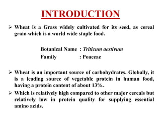 INTRODUCTION
 Wheat is a Grass widely cultivated for its seed, as cereal
grain which is a world wide staple food.
Botanical Name : Triticum aestivum
Family : Poaceae
 Wheat is an important source of carbohydrates. Globally, it
is a leading source of vegetable protein in human food,
having a protein content of about 13%.
 Which is relatively high compared to other major cereals but
relatively low in protein quality for supplying essential
amino acids.
 