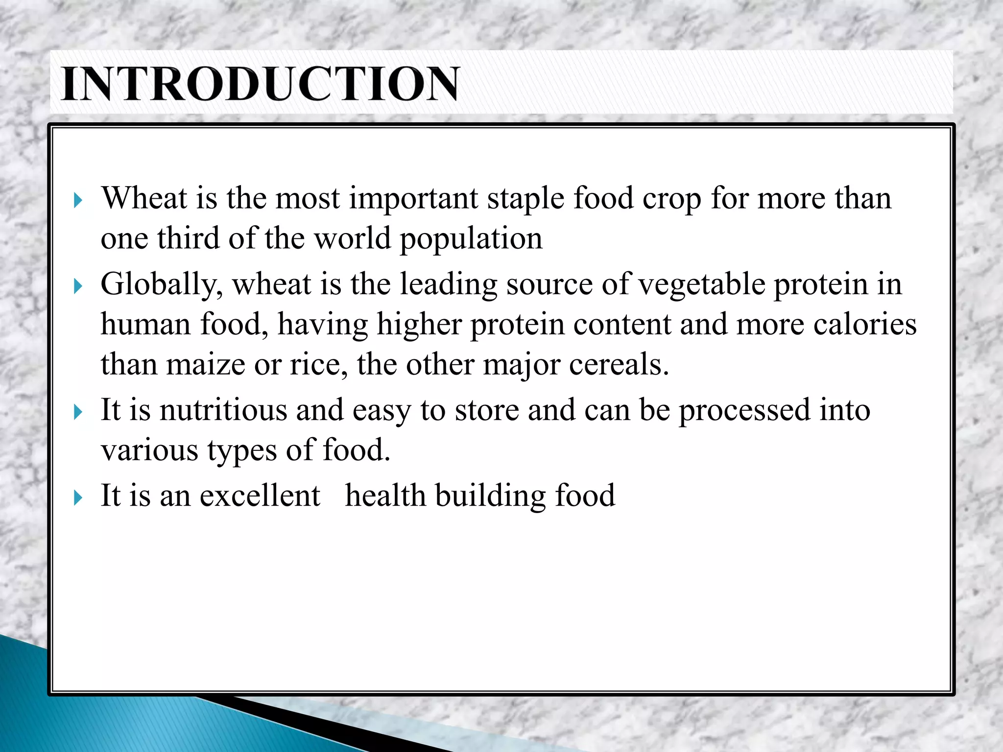 Wheat is the most important staple food crop for more than
one third of the world population
 Globally, wheat is the leading source of vegetable protein in
human food, having higher protein content and more calories
than maize or rice, the other major cereals.
 It is nutritious and easy to store and can be processed into
various types of food.
 It is an excellent health building food
 
