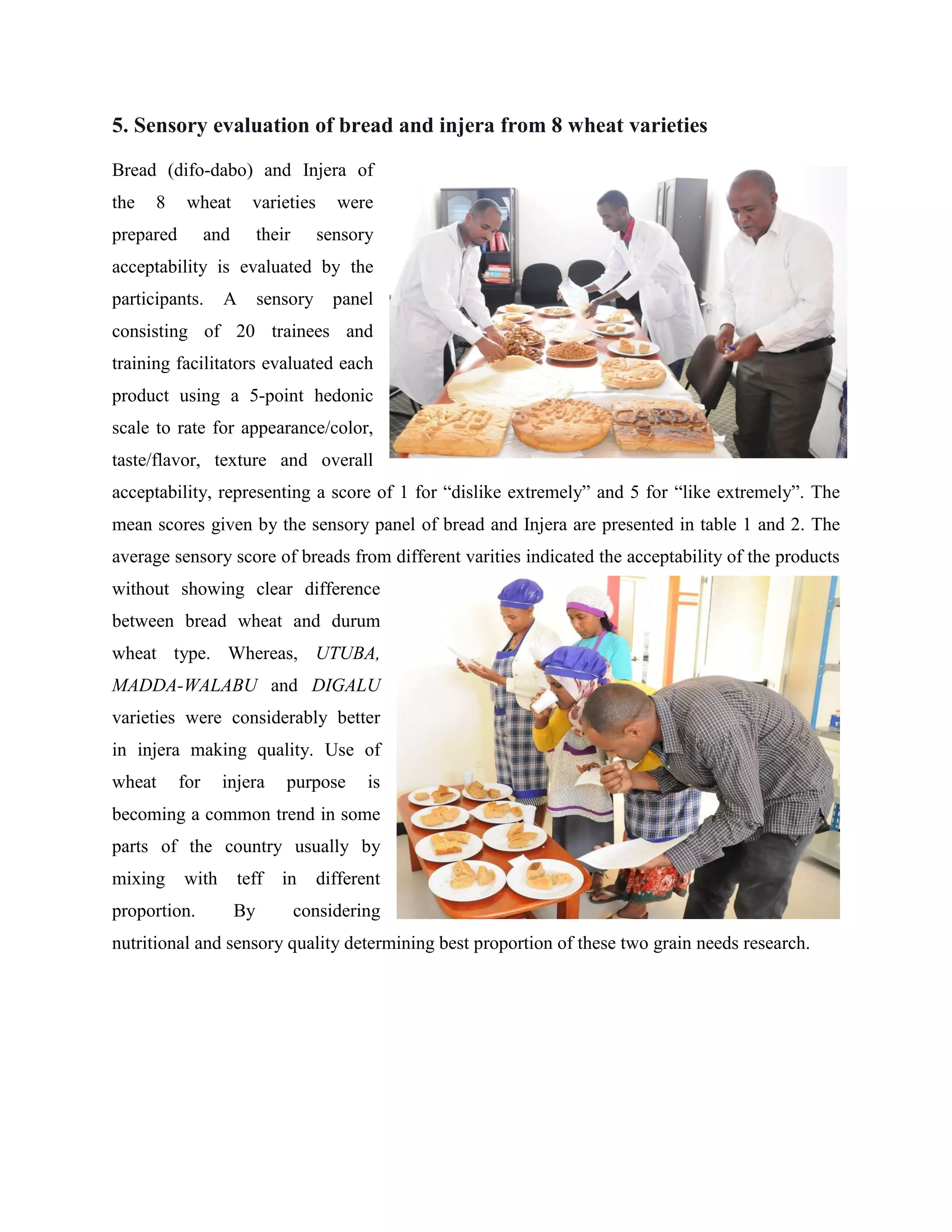 5. Sensory evaluation of bread and injera from 8 wheat varieties
Bread (difo-dabo) and Injera of
the 8 wheat varieties were
prepared and their sensory
acceptability is evaluated by the
participants. A sensory panel
consisting of 20 trainees and
training facilitators evaluated each
product using a 5-point hedonic
scale to rate for appearance/color,
taste/flavor, texture and overall
acceptability, representing a score of 1 for “dislike extremely” and 5 for “like extremely”. The
mean scores given by the sensory panel of bread and Injera are presented in table 1 and 2. The
average sensory score of breads from different varities indicated the acceptability of the products
without showing clear difference
between bread wheat and durum
wheat type. Whereas, UTUBA,
MADDA-WALABU and DIGALU
varieties were considerably better
in injera making quality. Use of
wheat for injera purpose is
becoming a common trend in some
parts of the country usually by
mixing with teff in different
proportion. By considering
nutritional and sensory quality determining best proportion of these two grain needs research.
 