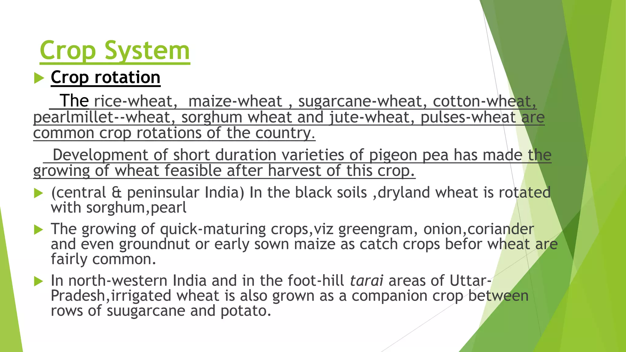 Wheat crop , package of practice by Mehboob latief. | PPTX