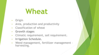 Wheat
• Origin
• Area, production and productivity
• Classification of wheat
• Growth stages
• Climatic requirement, soil requirement.
• Irrigation Schedule.
• Weed management, fertilizer management –
harvesting.
 