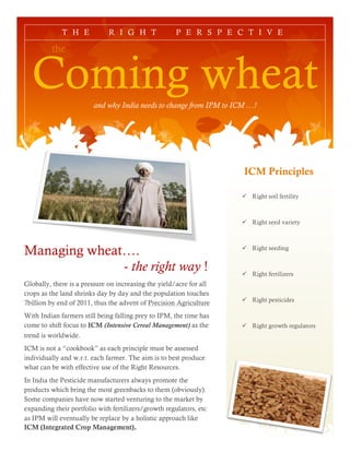 T H E            R I G H T               P E R S P E C T I V E

         the


  Coming wheat          and why India needs to change from IPM to ICM …!




                                                                     ICM Principles

                                                                     ü Right soil fertility



                                                                     ü Right seed variety



Managing wheat….                                                     ü Right seeding


              - the right way !                                      ü Right fertilizers
Globally, there is a pressure on increasing the yield/acre for all
crops as the land shrinks day by day and the population touches
                                                                     ü Right pesticides
7billion by end of 2011, thus the advent of Precision Agriculture
With Indian farmers still being falling prey to IPM, the time has
come to shift focus to ICM (Intensive Cereal Management) as the      ü Right growth regulators
trend is worldwide.
ICM is not a “cookbook” as each principle must be assessed
individually and w.r.t. each farmer. The aim is to best produce
what can be with effective use of the Right Resources.
In India the Pesticide manufacturers always promote the
products which bring the most greenbacks to them (obviously).
Some companies have now started venturing to the market by
expanding their portfolio with fertilizers/growth regulators, etc
as IPM will eventually be replace by a holistic approach like
ICM (Integrated Crop Management).
 