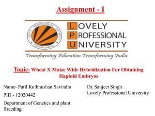 Name- Patil Kulbhushan Savindra
PID.- 12020442
Department of Genetics and plant
Breeding
Topic- Wheat X Maize Wide Hybridization For Obtaining
Haploid Embryos
Assignment - I
Dr. Sanjeet Singh
Lovely Professional University
 