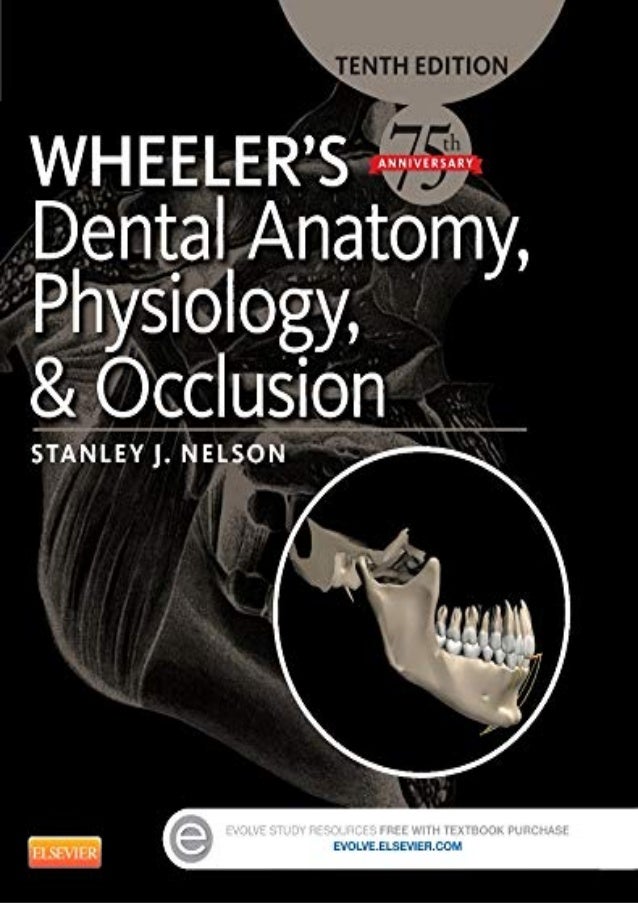 !PDF Wheeler s Dental Anatomy, Physiology and Occlusion, 10th Editio…