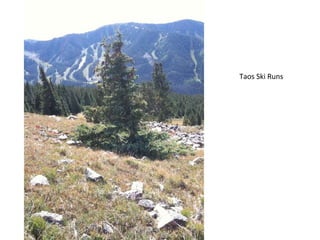 Taos Ski Runs 