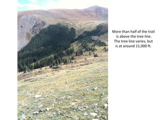 More than half of the trail  is above the tree line. The tree line varies, but  is at around 11,000 ft.  