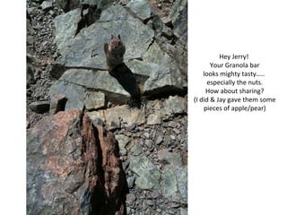 Hey Jerry!  Your Granola bar looks mighty tasty…..  especially the nuts. How about sharing? (I did & Jay gave them some pieces of apple/pear) 