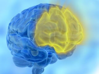 200.000	
  years	
  ago	
  




@BartS	
  
 