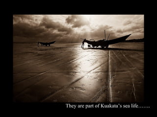 They are part of Kuakata’s sea life…….
 