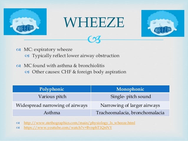   MC: expiratory wheeze  Typically reflect lower airway obstruction  MC found with asthma & bronchiolitis  Other caus...