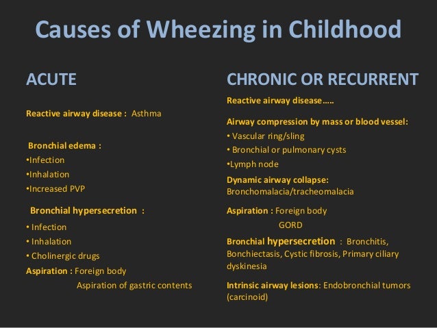 Wheezy chest in pediatrics