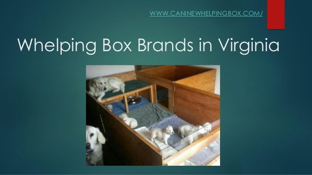 whelping box pets at home