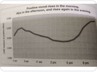 Hidden Pattern of Everyday Life | PPTX