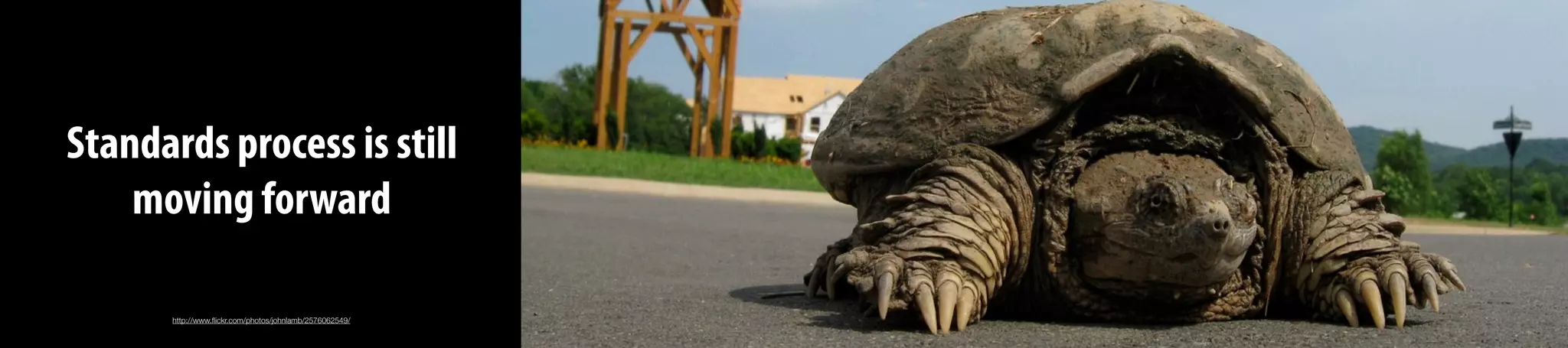 Standards process is still
moving forward
http://www.ﬂickr.com/photos/johnlamb/2576062549/
 