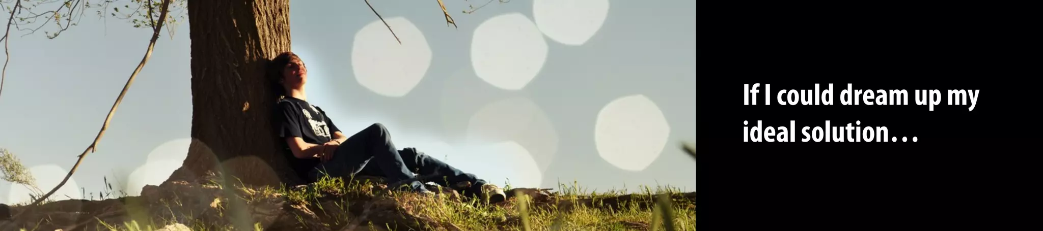 If I could dream up my
ideal solution…
 