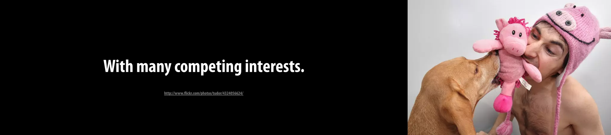 With many competing interests.
http://www.flickr.com/photos/tudor/4324056624/
 
