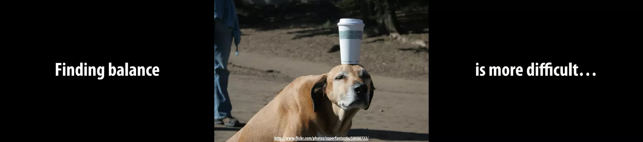 Finding balance is more diﬃcult…
http://www.flickr.com/photos/superfantastic/50088733/
 