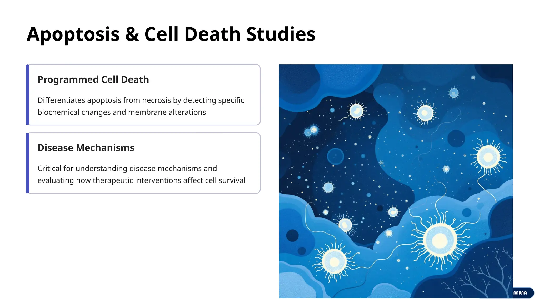When Is Flow Cytometry Used in Medical Testing | PPTX