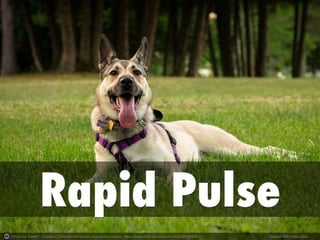 Photo by AllieKF - Creative Commons Attribution-ShareAlike License https://www.flickr.com/photos/34690905@N05 Created with Haiku Deck
 