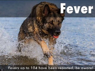 Photo by haroldmeerveld - Creative Commons Attribution License https://www.flickr.com/photos/56274740@N08 Created with Haiku Deck
 