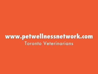 When is your Pet is too Hot!! Toronto Veterinarians