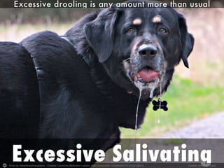 Photo by dallasfloerphotography - Creative Commons Attribution License https://www.flickr.com/photos/131152351@N03 Created with Haiku Deck
 