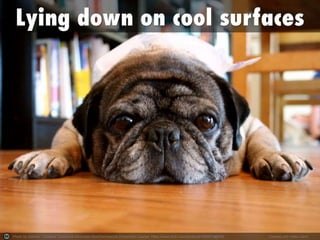 Photo by zoomar - Creative Commons Attribution-NonCommercial-ShareAlike License https://www.flickr.com/photos/61456874@N00 Created with Haiku Deck
 