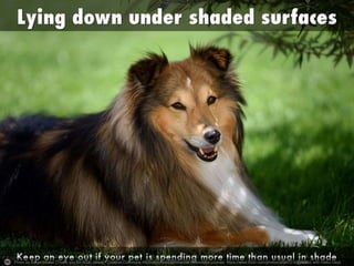 Photo by Balgenbruder [Thank you for 500K views] - Creative Commons Attribution-NonCommercial-ShareAlike License https://www.flickr.com/photos/48947216@N02Created with Haiku Deck
 