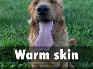 Photo by rburtzel - Creative Commons Attribution-NonCommercial-ShareAlike License https://www.flickr.com/photos/21085645@N03 Created with Haiku Deck
 