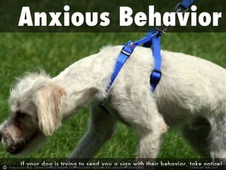 Photo by quinn.anya - Creative Commons Attribution-ShareAlike License https://www.flickr.com/photos/53326337@N00 Created with Haiku Deck
 