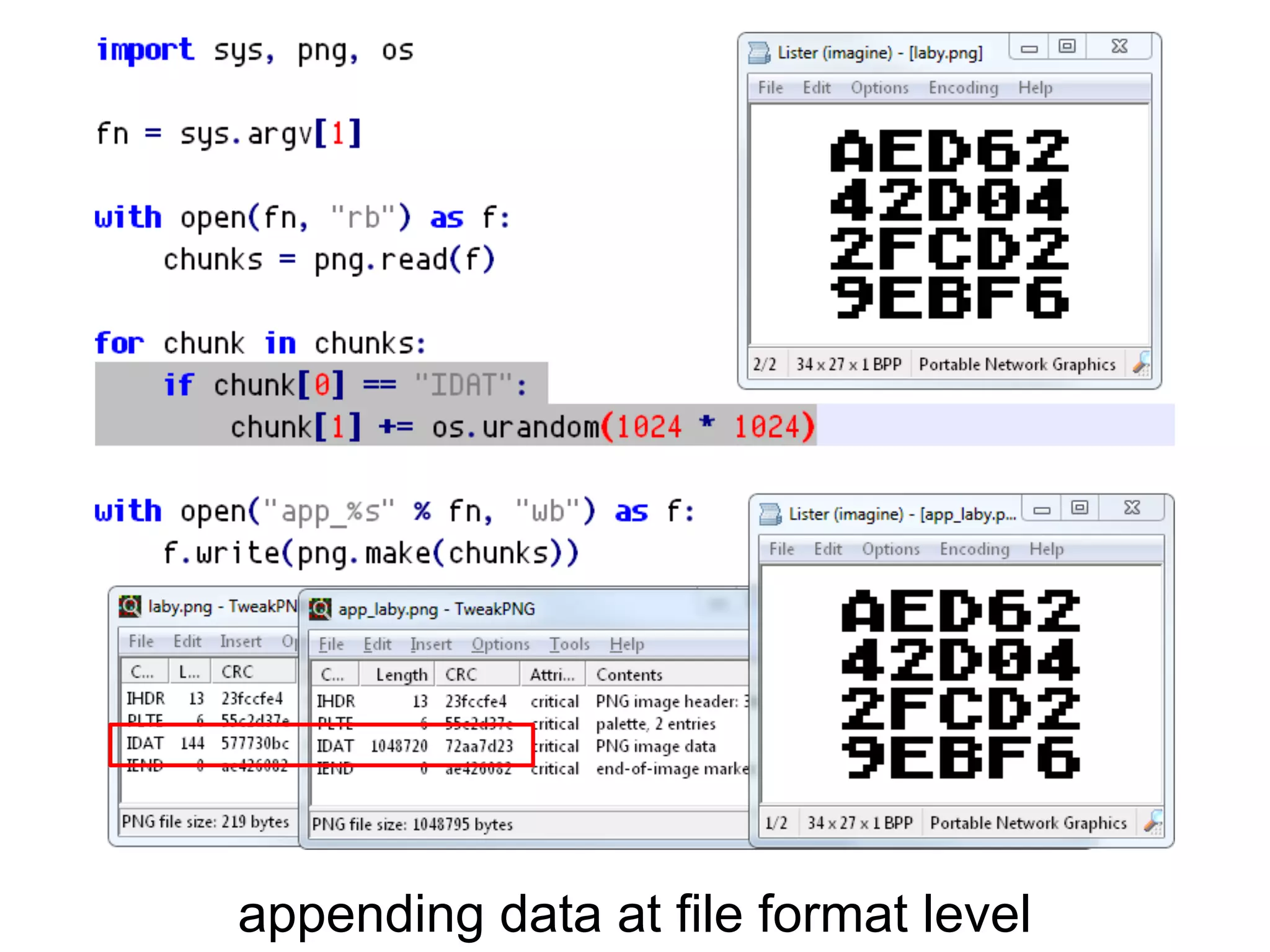 appending data at file format level
 