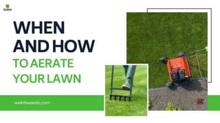 When and How to Aerate Your Lawn