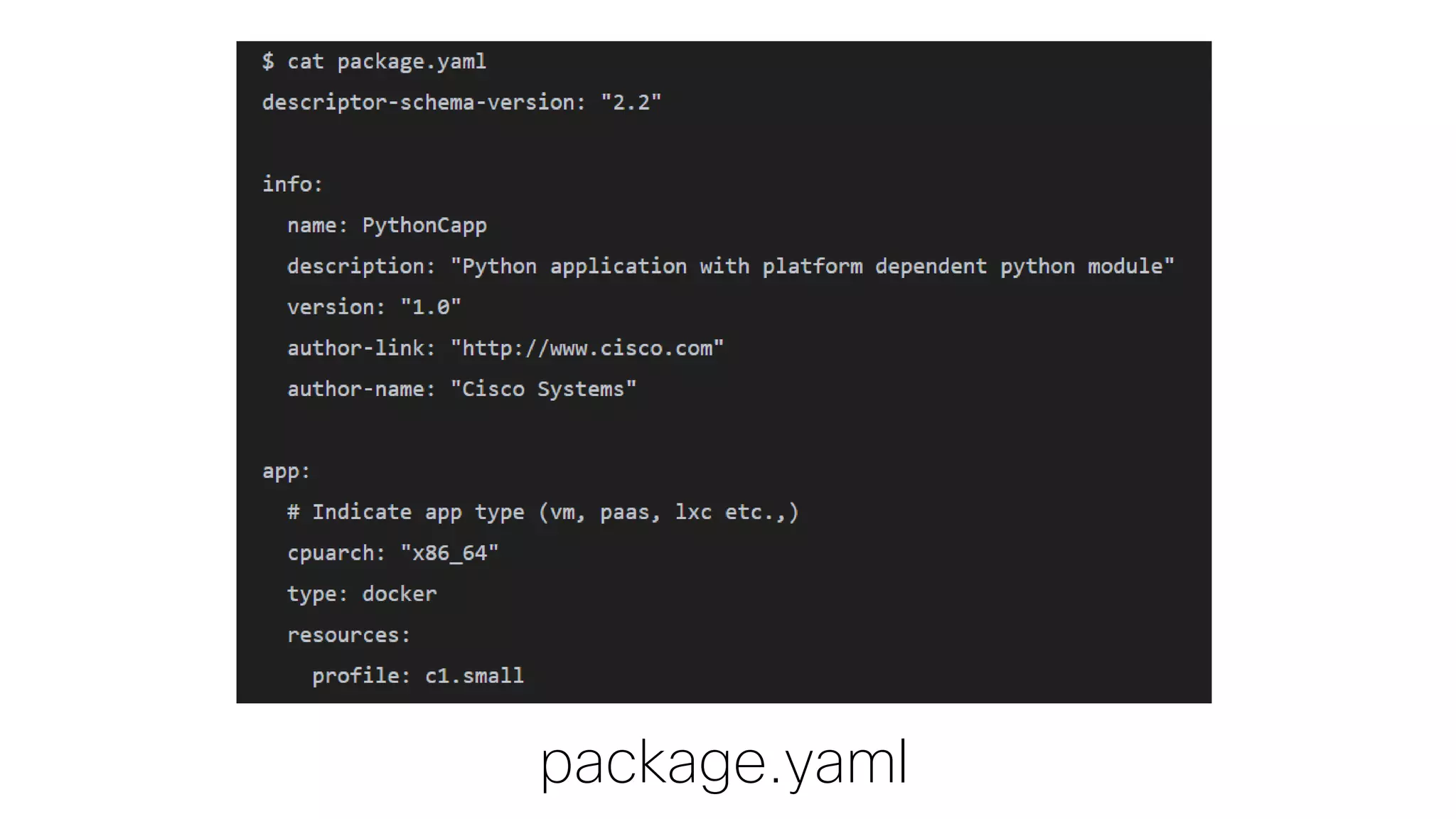 package.yaml
 