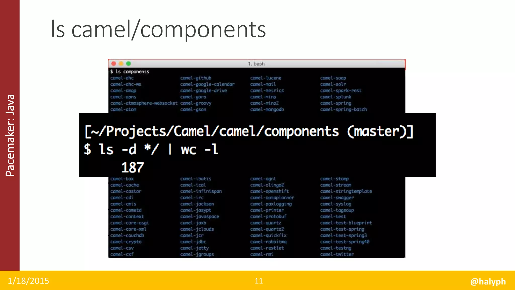 Pacemaker:Java
1/18/2015 @halyph11
ls camel/components
 