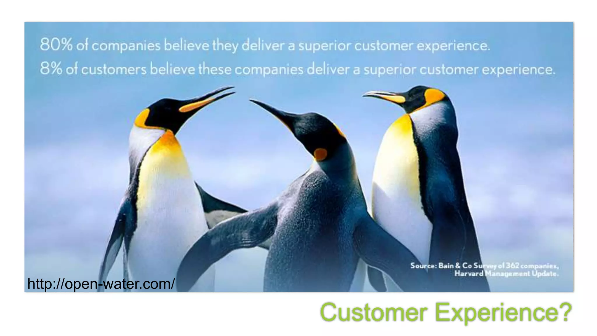 Customer Experience?
http://open-water.com/
 