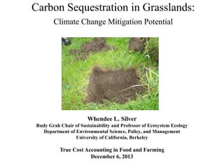 Carbon Sequestration in Grasslands:
Climate Change Mitigation Potential

Whendee L. Silver
Rudy Grah Chair of Sustainability and Professor of Ecosystem Ecology
Department of Environmental Science, Policy, and Management
University of California, Berkeley

True Cost Accounting in Food and Farming
December 6, 2013

 