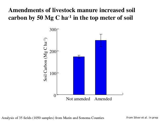 Whendee Silver Soil Whendee Silver Soil