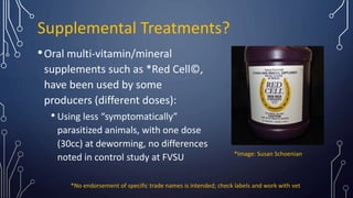 Supplemental Treatments?
•Oral multi-vitamin/mineral
supplements such as *Red Cell©,
have been used by some
producers (dif...