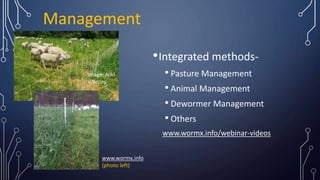 Management
•Integrated methods-
• Pasture Management
• Animal Management
• Dewormer Management
• Others
www.wormx.info
(ph...