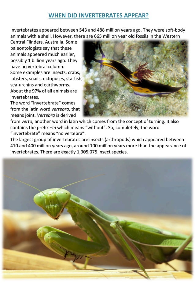 when-did-invertebrates-appear-pdf-free-download