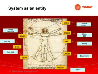 System as an entity Heart Vein Brain Soul Sport Liver Organ Health 