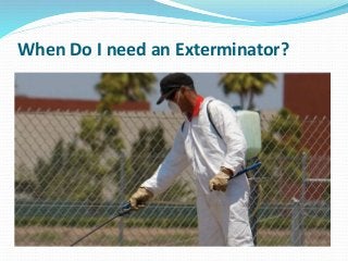 When Do I need an Exterminator?
 